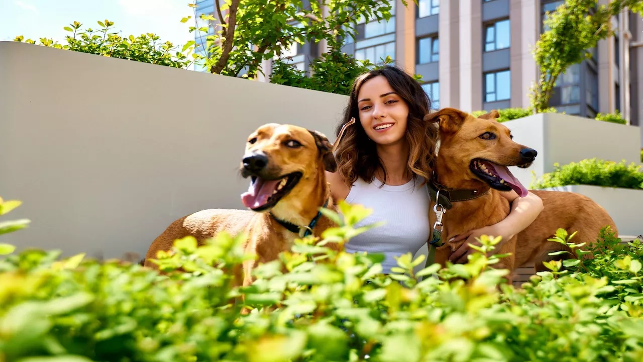 condominio pet friendly